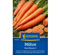 Kiepenkerl Carotte "Rote Riesen 2" - 1 sachet