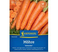 Kiepenkerl Carotte "Vollenda®" - 1 sachet