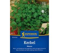 Kiepenkerl Cerfeuil "Massa" - 1 sachet
