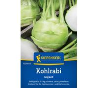 Kiepenkerl Chou-Rave "Gigant" - 1 sachet