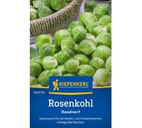 Kiepenkerl Choux de Bruxelles "Roodnerf" - 1 sachet