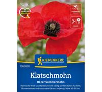 Kiepenkerl Coquelicot "Pavot Rouge d'Été" - 1 sachet