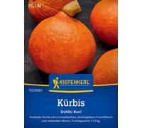 Kiepenkerl Courge Uchiki Kuri - 1 sachet