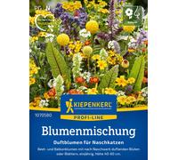 Kiepenkerl Fleurs Aromatiques Sucrées - 1 sachet