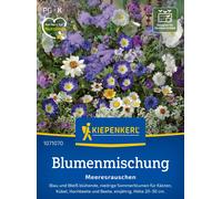 Kiepenkerl Fleurs de Balcon "Bruits de la Mer" - 1 sachet