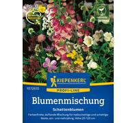 Kiepenkerl Fleurs pour Zones Ombragées - Mélange - 1 sachet