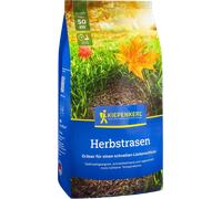 Kiepenkerl Gazon d'Automne - 1 sachet