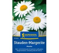 Kiepenkerl Grande Marguerite Alaska - 1 sachet