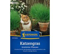 Kiepenkerl Herbe à Chat - 1 sachet