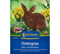 Kiepenkerl Herbe Ornementale - 1 sachet