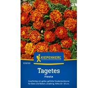 Kiepenkerl Œillet d'Inde "Fiesta" - 1 sachet