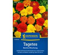 Kiepenkerl Œillet d'Inde "Mélange Bonita" - 1 sachet