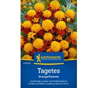 Kiepenkerl Œillet d'Inde "Orangeflamme" - 1 sachet