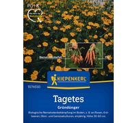 Kiepenkerl Œillet d'Inde "Single Gold" (Anti-Nématodes) - 1 sachet