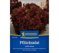 Kiepenkerl Laitue à Couper "Lollo Rossa" - 1 sachet