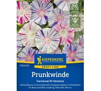 Kiepenkerl Liseron "Carnevale di Venezia" - 1 sachet