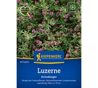 Kiepenkerl Luzerne - 1 sachet