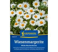 Kiepenkerl Marguerite des Prés - 1 sachet