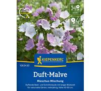 Kiepenkerl Mauve Musquée - Mélange - 1 sachet