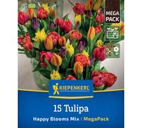Kiepenkerl Mega Pack Happy Blooms - 15 pièces