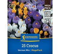 Kiepenkerl Mega-Pack Mélange de Crocus de Jardin - 25 pièces