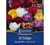 Kiepenkerl Mega-Pack Mélange de Tulipes Doubles - 15 pièces