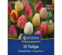 Kiepenkerl Mega-Pack Mélange Pastel de Tulipes Triumph - 15 pièces