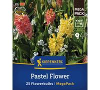 Kiepenkerl Mega Pack Pastel Flower - 25 pièces