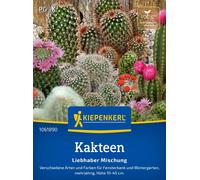 Kiepenkerl Mélange de Cactus - 1 sachet
