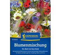 Kiepenkerl Mélange de Fleurs "Ein Bett im Kornfeld" - 1 sachet