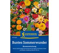 Kiepenkerl Mélange de Fleurs "Merveille d'Été Colorée" - 1 sachet