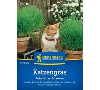 Kiepenkerl Mélange d'Herbes à Chat - 1 sachet