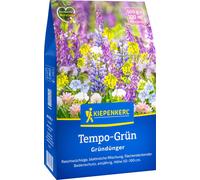 Kiepenkerl Mélange pour Engrais Vert - 500 g