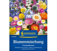 Kiepenkerl Mélange pour Fleurs Séchées - 1 sachet