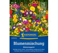 Kiepenkerl Mélange pour Tapis de Fleurs - 1 sachet