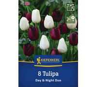 Kiepenkerl Mix de Tulipes Day & Night - 8 pièces