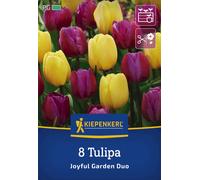 Kiepenkerl Mix de Tulipes Joyful Garden - 8 pièces