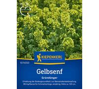 Kiepenkerl Moutarde Blanche - 1 sachet