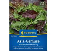 Kiepenkerl Moutarde Indienne "Scharfer Zahn-Mix" - 1 sachet