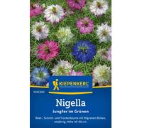 Kiepenkerl Nigelle de Damas - 1 sachet