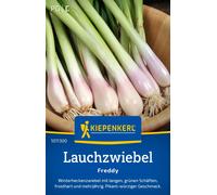 Kiepenkerl Oignon Ciboule Freddy - 1 sachet