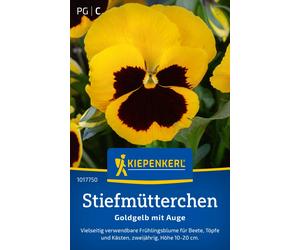 Kiepenkerl Pensée des Jardins "Jaune Or" - 1 sachet