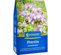 Kiepenkerl Phacélie - 400 g