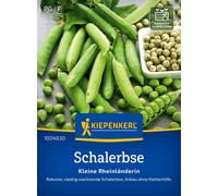 Kiepenkerl Pois Nain Petit Provençal "Kleine Rheinländerin" - 1 sachet