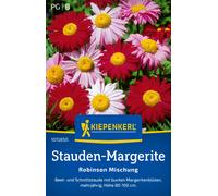 Kiepenkerl Pyrèthre Rose 'Robinson Red' - Mélange - 1 sachet