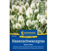 Kiepenkerl Queue-de-Lapin Bunny Tails - 1 sachet