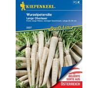Kiepenkerl Racine de Persil Lange Oberlaaer - 1 sachet