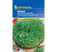 Kiepenkerl Saatgut Kresse / Glatte Kresse großblättrig