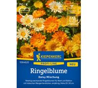 Kiepenkerl Souci Daisy Mélange - 1 sachet