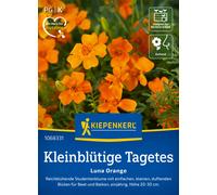 Kiepenkerl Tagète à Petites Fleurs "Luna Orange" - 1 sachet